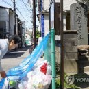 더미도 이미지