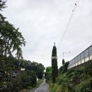 김포대주유소 이미지