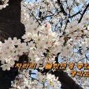 신바람 노래교실 이미지