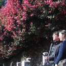 김명선농장 이미지