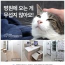 가나동물병원 이미지