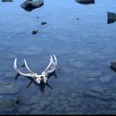 2024 찾아가는 도립미술관 이미지