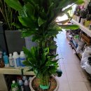 안성동인요양병원 이미지