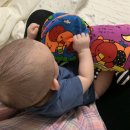 시우네농장 | 인생 109 ~ 115일차, 뒤집기로 레벨업- 그래서 힘들었구나