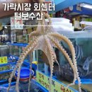 도경수산 | 가락시장 회센터 털보수산 내돈내산 찐후기