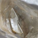 국산칡으로 만든 자연원 참 진한 칡즙 내돈내산 후기