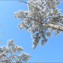 수락산문화의거리 이미지