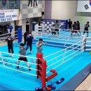 하니움 복싱체육관 이미지