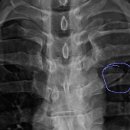 신세계재활의학과의원 이미지