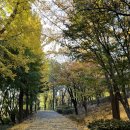 용암초등학교.이태원2동주민센터 | 이태원 해방촌 남산 가을 단풍 명소 남산야외식물원