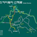 루트 이미지