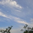 반월공원 이미지