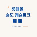 송도캐슬공인중개사사무소 이미지