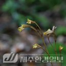 한라전설(주) 이미지