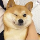 디프렌즈