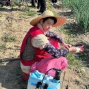 유쾌한농부