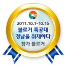 지향태양광발전소 이미지