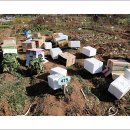 시진농장 이미지