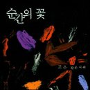 그순간꽃 이미지