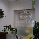 아메리칸트레이 이미지