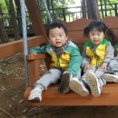 현준목장 이미지