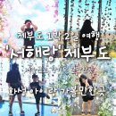 화성카써비스 | 화성 아이와 가볼만한곳 제부도 여행 서해랑 케이블카 무료 전시 놀거리