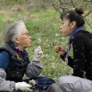 엄마의 장터를 찿아서 홍성,나주 영상강,목포,함양 개평마을,봉화 감의산,함안 동지산으로 떠나는 한국 기행(EBS,5/6~10,9시30 이미지