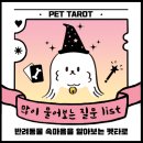 러블리펫 이미지