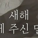 인셀덤 은혜 이미지