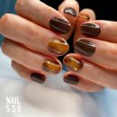 NAIL530