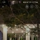 아남세탁 이미지