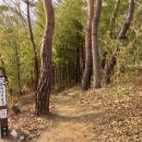 청천호 둘레길 주차장 이미지