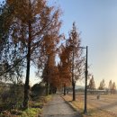 하빈천 | (대구/성주) 낙동강 성주대교에서 강정고령보까지 자전거 라이딩 후기