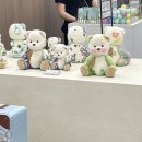 여의도 더현대 서울 테디테일즈 팝업스토어 방문 후기