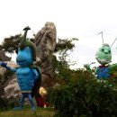 함평 엑스포공원 나비축제 이미지