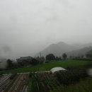 솔치농로 이미지