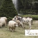 주디엘 이미지