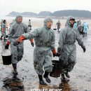 영차영차 이미지