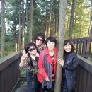 양포공원 이미지