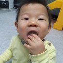 미들리 이미지
