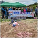 효자동행정복지센터 이미지