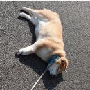 고집불통 이미지