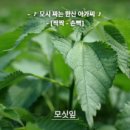 송림리 마을회관 이미지