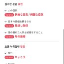 재미있는 전화일본어 일공일폰 후기
