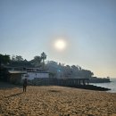 하나로 화원 | [공지] 중국 샤먼여행 3일차 후기~ 구랑위 숙장화원, 피아노박물관, 일광암 &amp; 증조안거리와 유람선 야경...