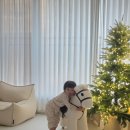 붕붕카인테리어 이미지