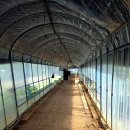 강화군 생활체육센터 이미지