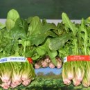 남해-249 이미지