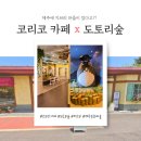 제주 동쪽 핫플 끝판왕! 송당 '제주동화마을' 솔직 후기 (코리코카페 · 도토리숲 · 폭포정원까지 완전...