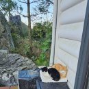 투썸플레이스 구미안가고택점 | [구미 금오산 카페] 주차 편하고 정원 예쁜 감성카페, 투썸플레이스 안가고택점 후기